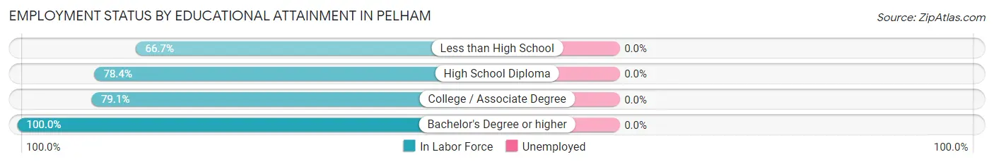 Employment Status by Educational Attainment in Pelham