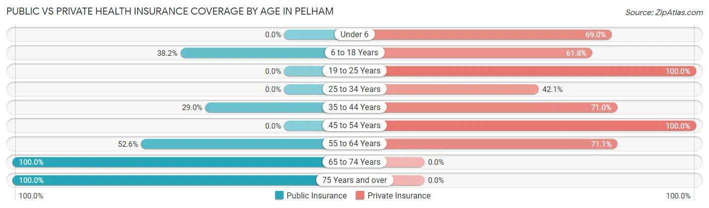 Public vs Private Health Insurance Coverage by Age in Pelham