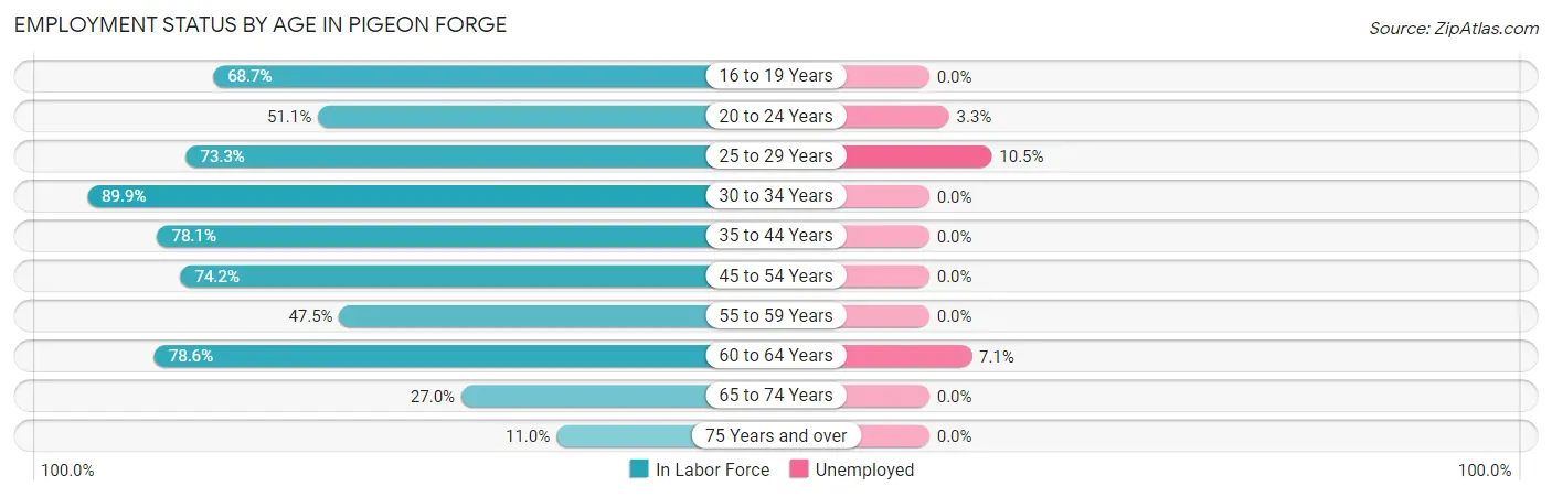 Employment Status by Age in Pigeon Forge