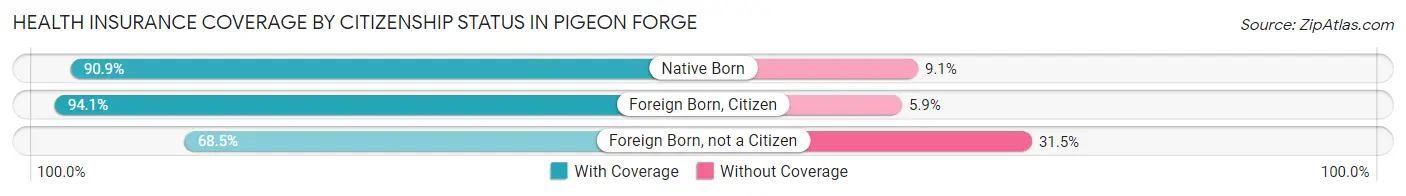 Health Insurance Coverage by Citizenship Status in Pigeon Forge