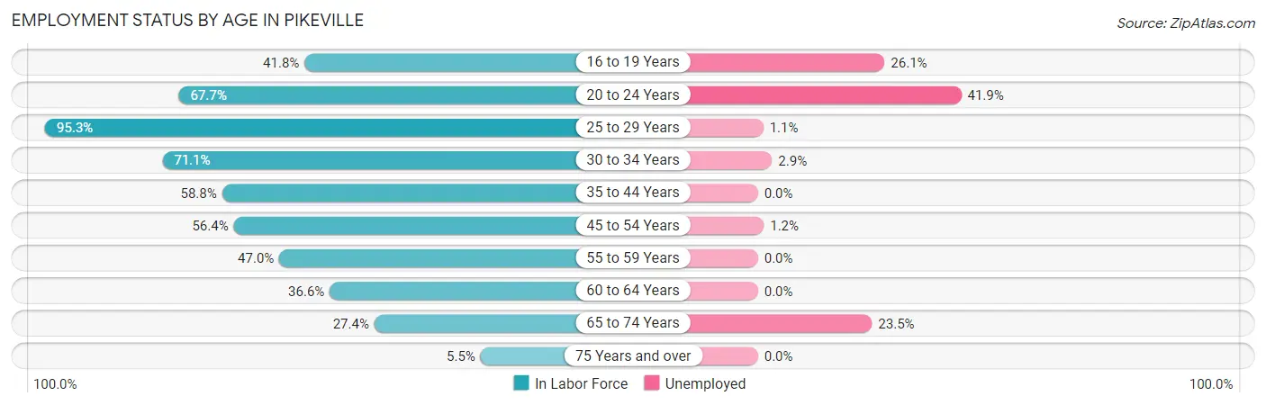 Employment Status by Age in Pikeville