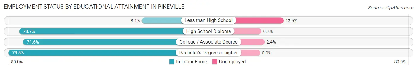 Employment Status by Educational Attainment in Pikeville