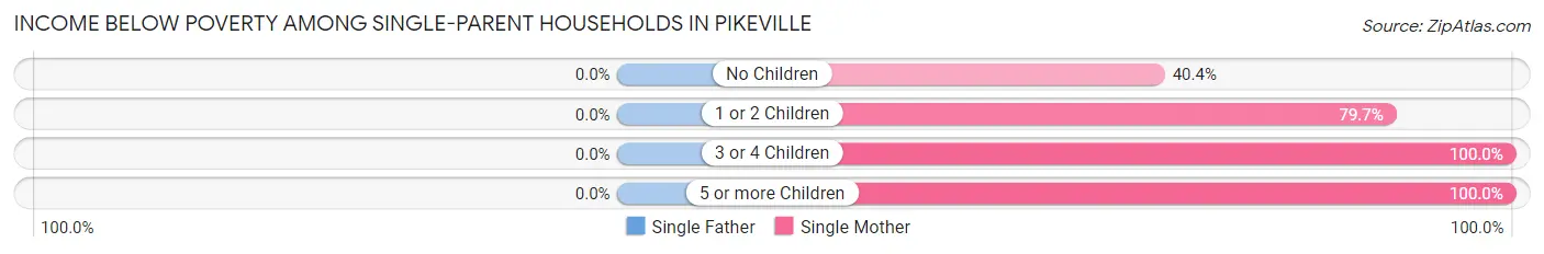 Income Below Poverty Among Single-Parent Households in Pikeville