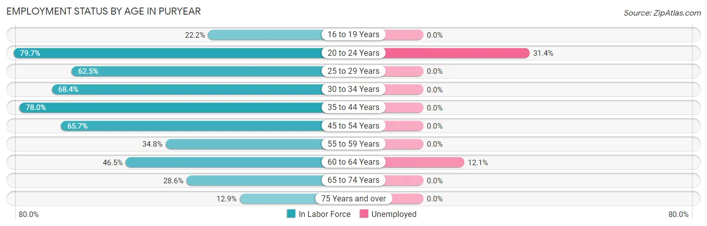 Employment Status by Age in Puryear