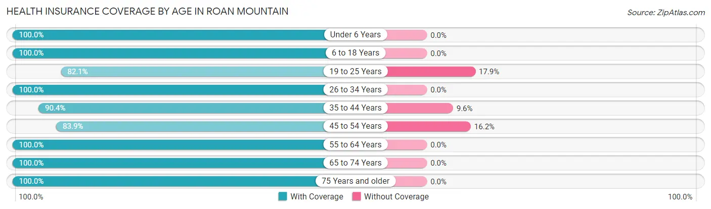 Health Insurance Coverage by Age in Roan Mountain