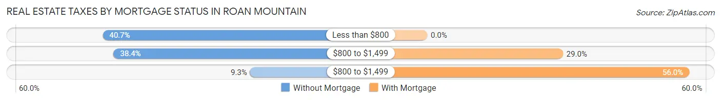 Real Estate Taxes by Mortgage Status in Roan Mountain