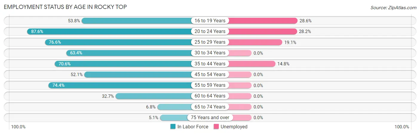 Employment Status by Age in Rocky Top