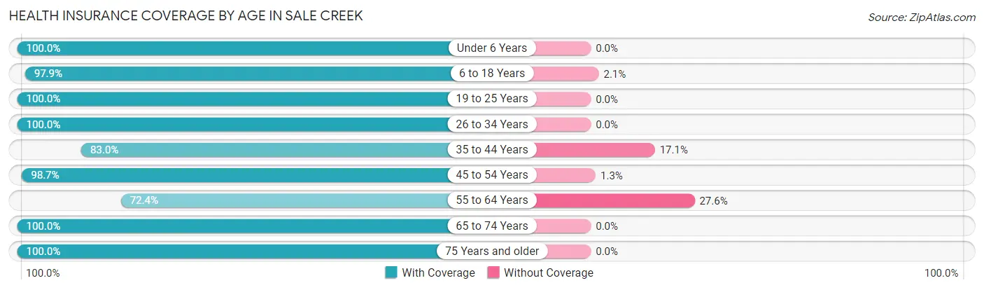 Health Insurance Coverage by Age in Sale Creek