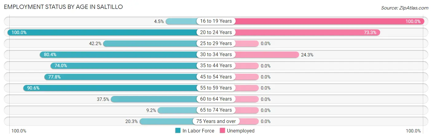 Employment Status by Age in Saltillo