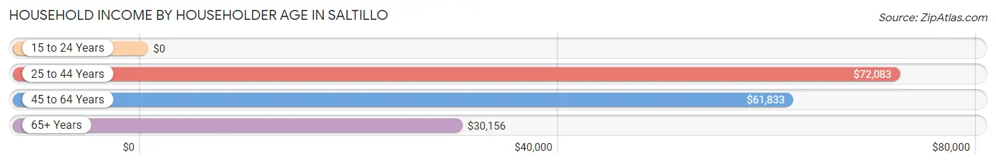 Household Income by Householder Age in Saltillo