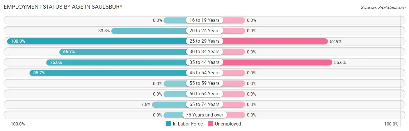 Employment Status by Age in Saulsbury