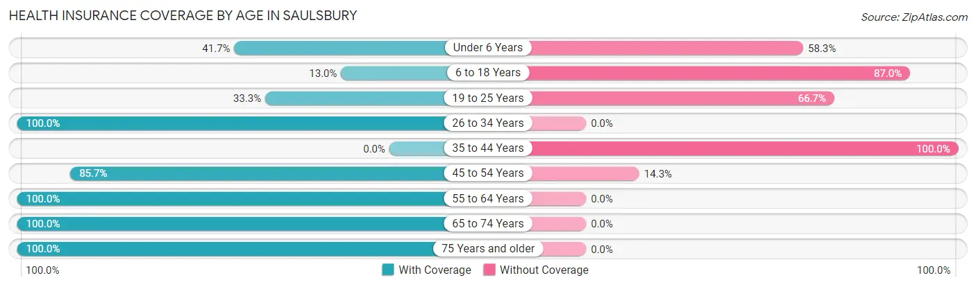 Health Insurance Coverage by Age in Saulsbury