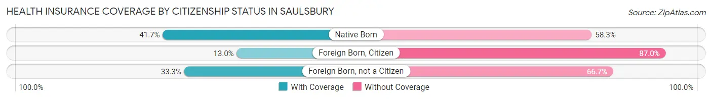 Health Insurance Coverage by Citizenship Status in Saulsbury