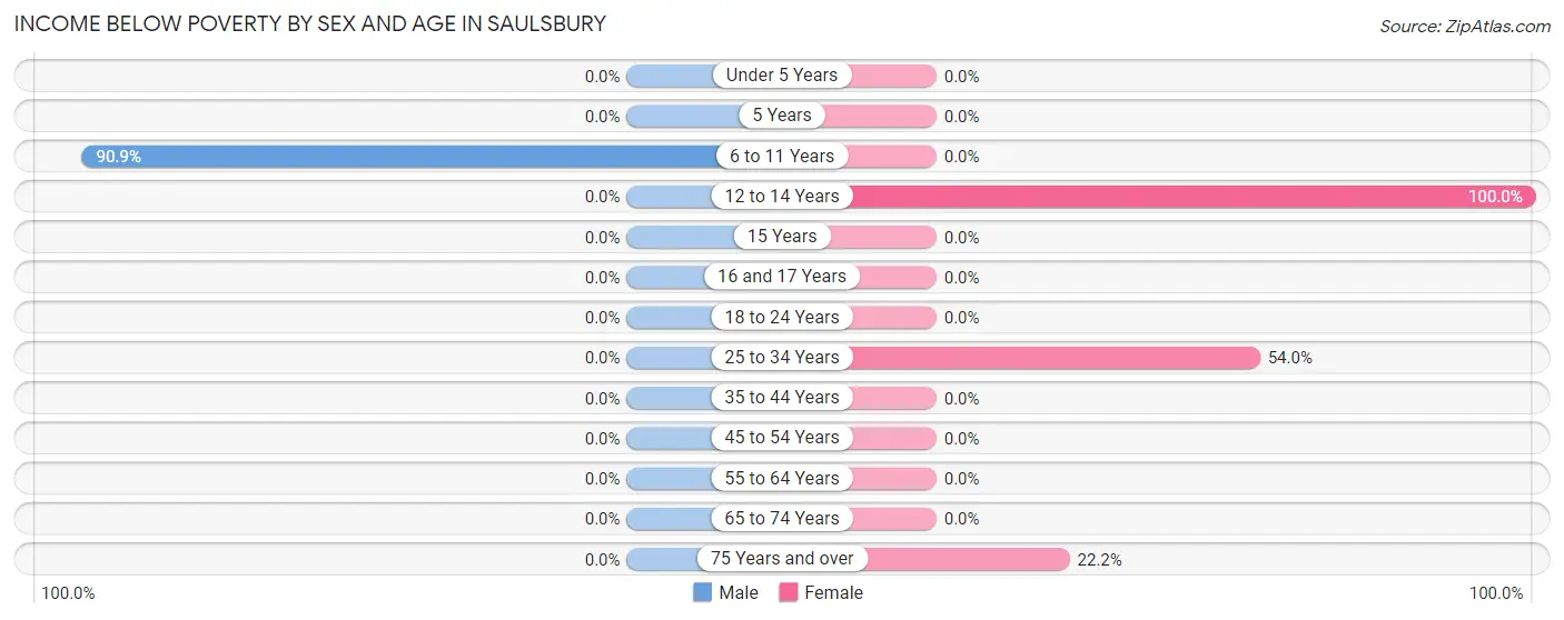 Income Below Poverty by Sex and Age in Saulsbury