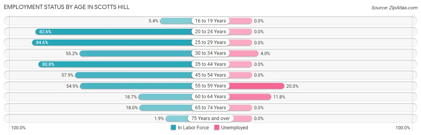 Employment Status by Age in Scotts Hill