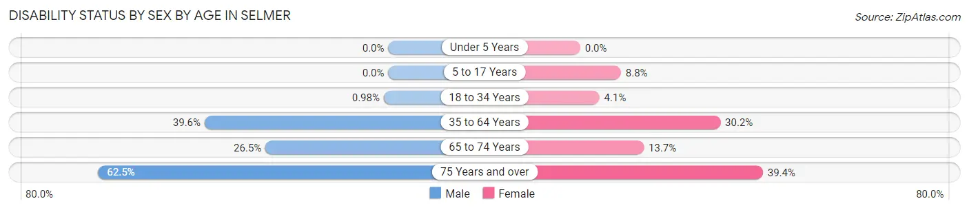 Disability Status by Sex by Age in Selmer
