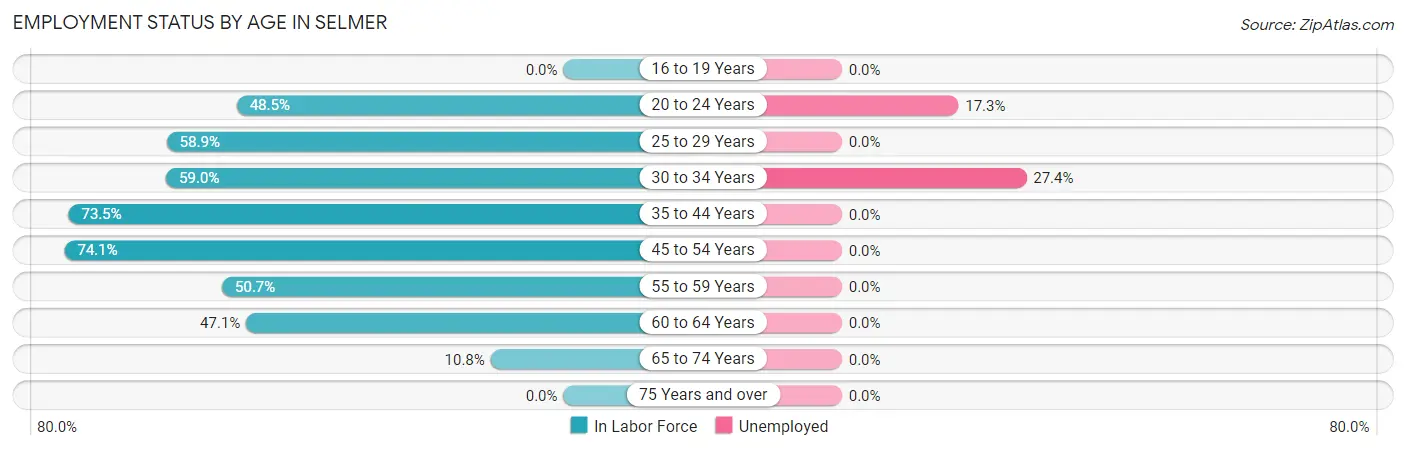 Employment Status by Age in Selmer