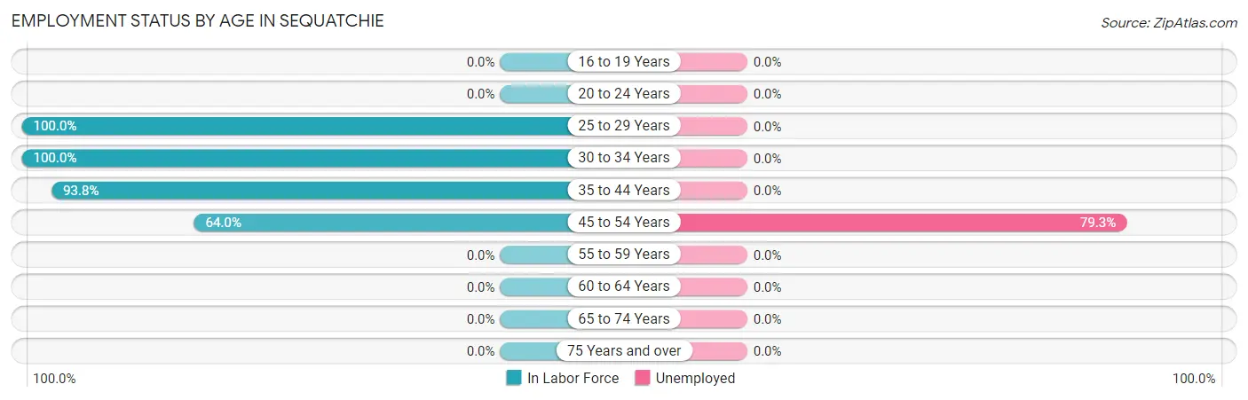 Employment Status by Age in Sequatchie