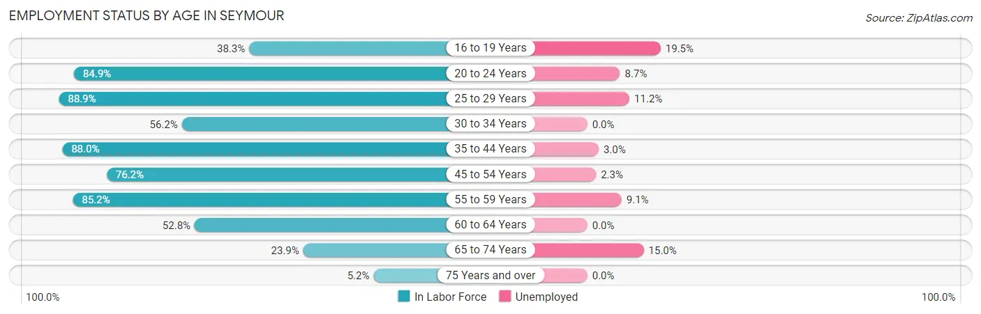 Employment Status by Age in Seymour