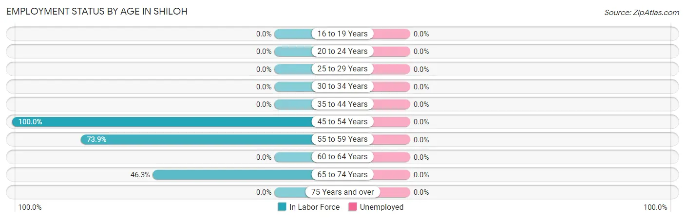 Employment Status by Age in Shiloh