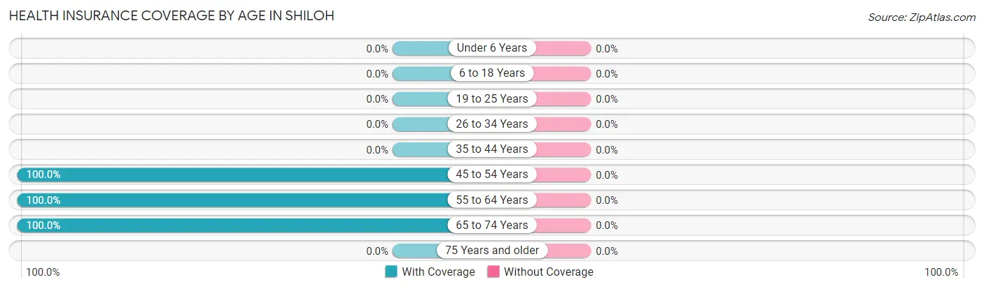 Health Insurance Coverage by Age in Shiloh