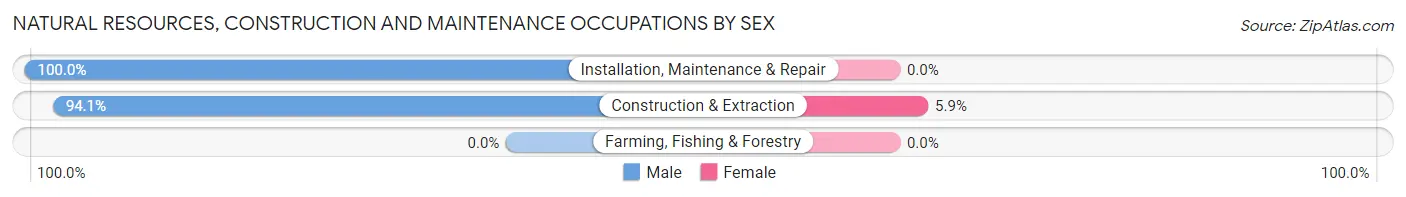 Natural Resources, Construction and Maintenance Occupations by Sex in Slayden
