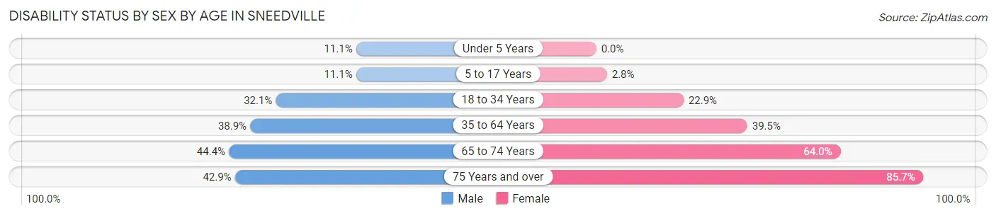 Disability Status by Sex by Age in Sneedville