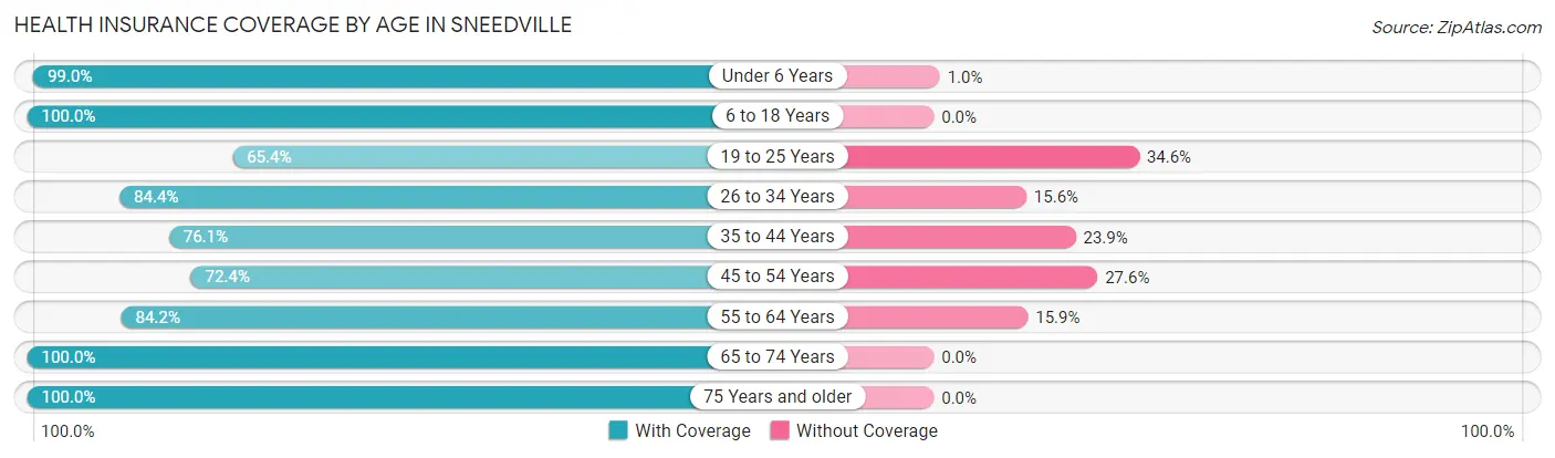 Health Insurance Coverage by Age in Sneedville