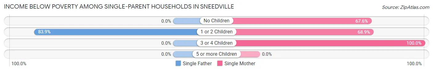 Income Below Poverty Among Single-Parent Households in Sneedville