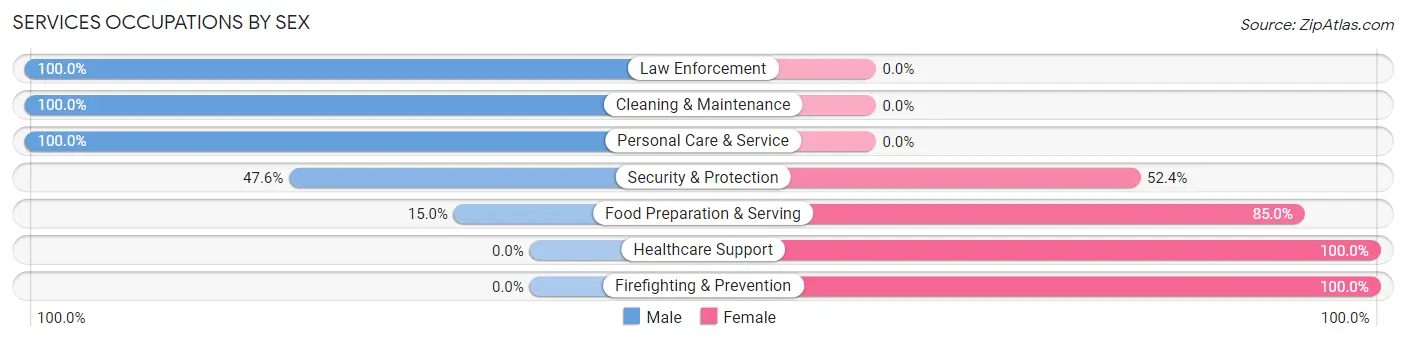 Services Occupations by Sex in Sneedville