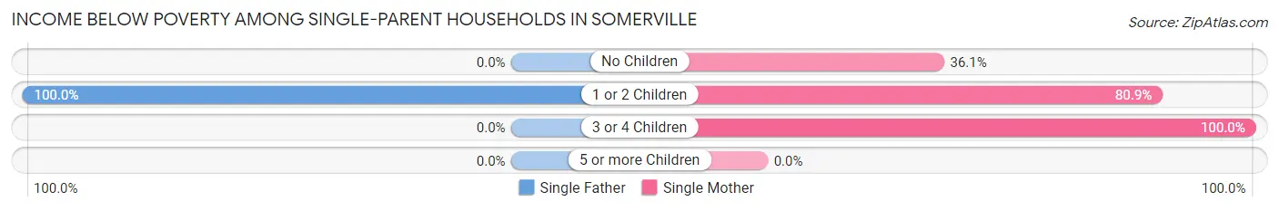 Income Below Poverty Among Single-Parent Households in Somerville