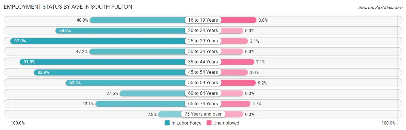 Employment Status by Age in South Fulton