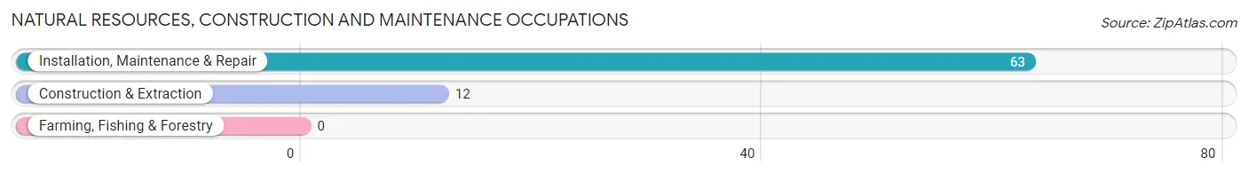 Natural Resources, Construction and Maintenance Occupations in South Fulton