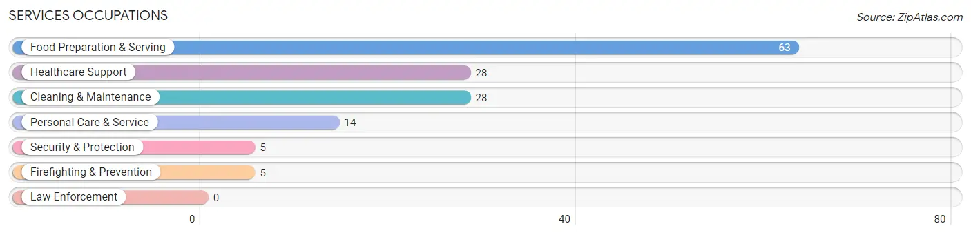 Services Occupations in South Fulton