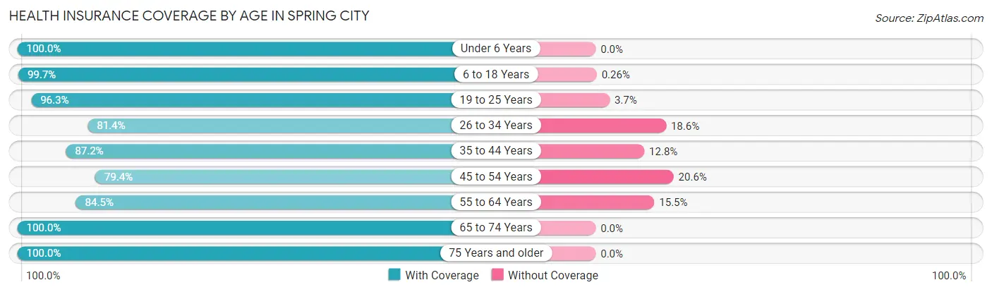 Health Insurance Coverage by Age in Spring City