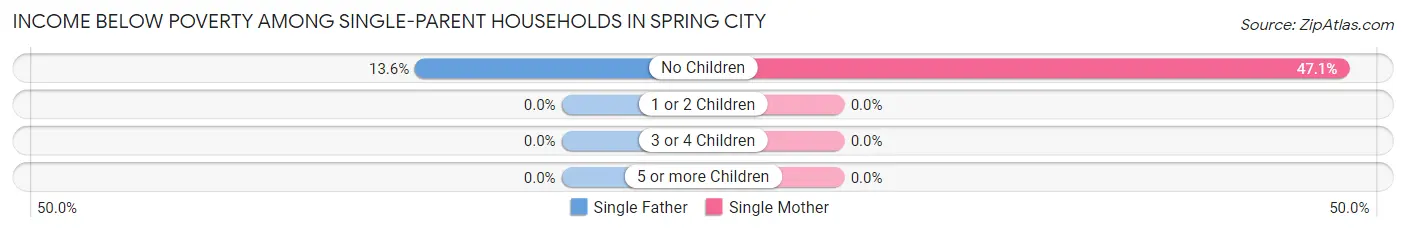 Income Below Poverty Among Single-Parent Households in Spring City
