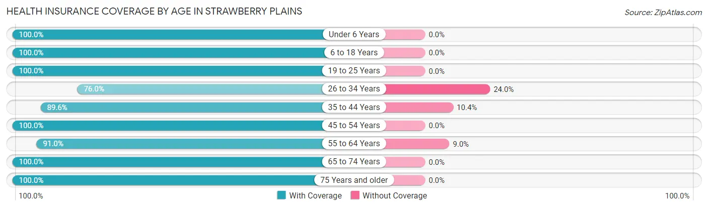 Health Insurance Coverage by Age in Strawberry Plains