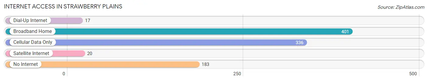 Internet Access in Strawberry Plains