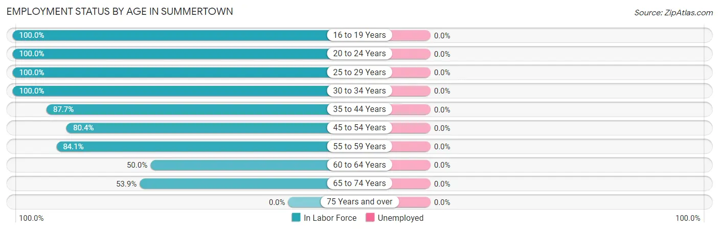 Employment Status by Age in Summertown