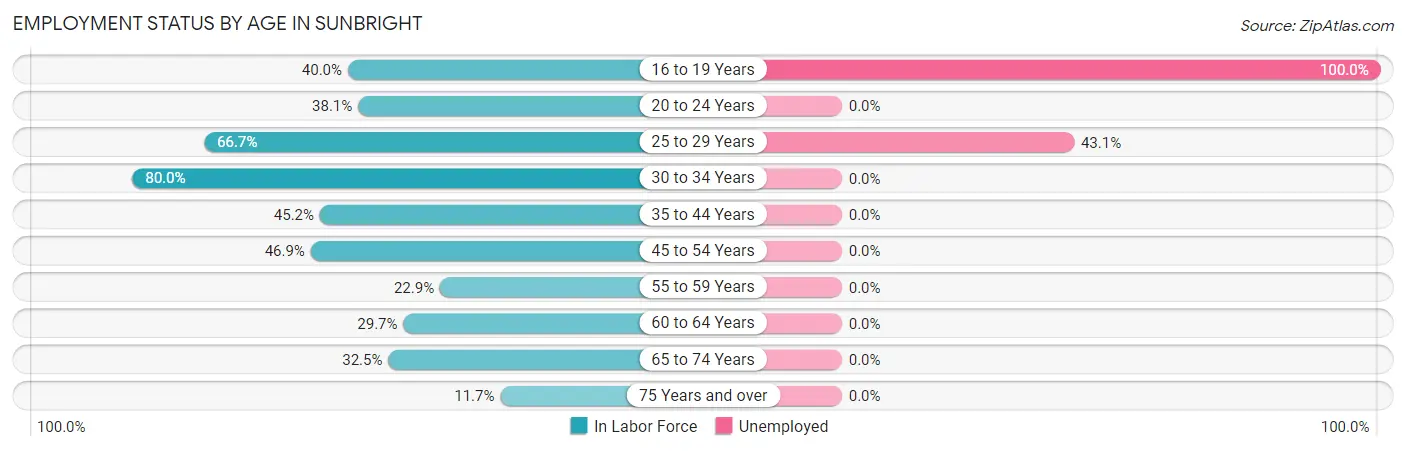 Employment Status by Age in Sunbright