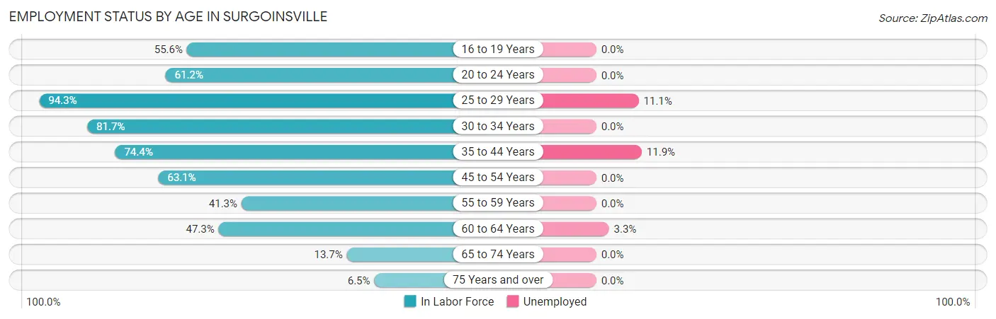 Employment Status by Age in Surgoinsville