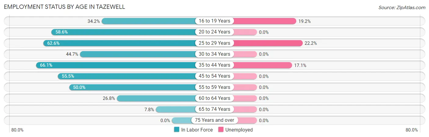 Employment Status by Age in Tazewell