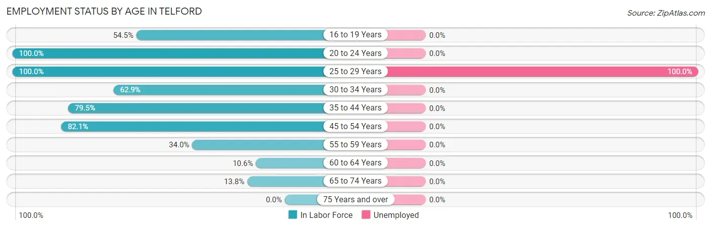 Employment Status by Age in Telford