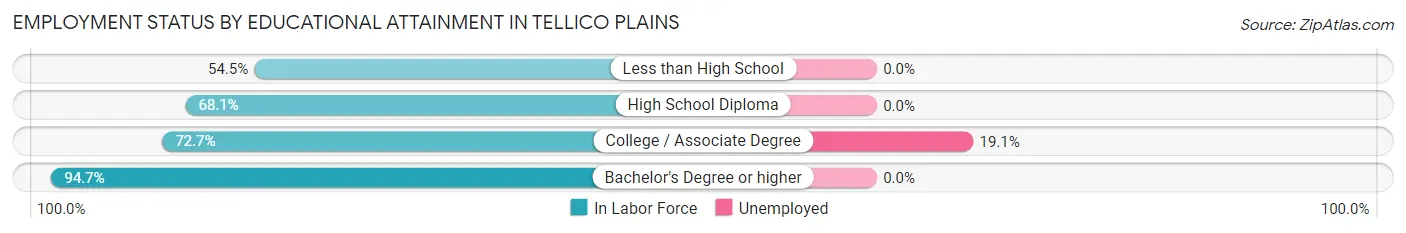 Employment Status by Educational Attainment in Tellico Plains