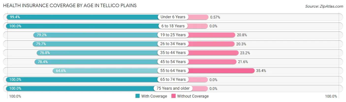 Health Insurance Coverage by Age in Tellico Plains