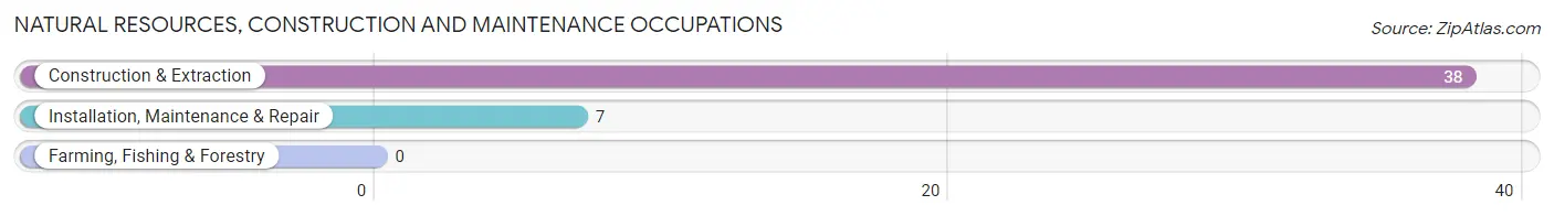 Natural Resources, Construction and Maintenance Occupations in Tellico Plains