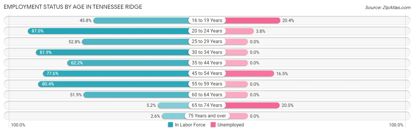 Employment Status by Age in Tennessee Ridge