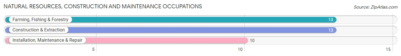 Natural Resources, Construction and Maintenance Occupations in Trezevant