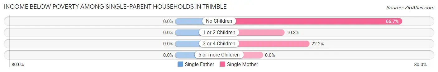 Income Below Poverty Among Single-Parent Households in Trimble