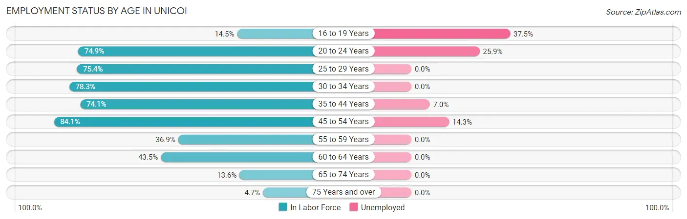 Employment Status by Age in Unicoi